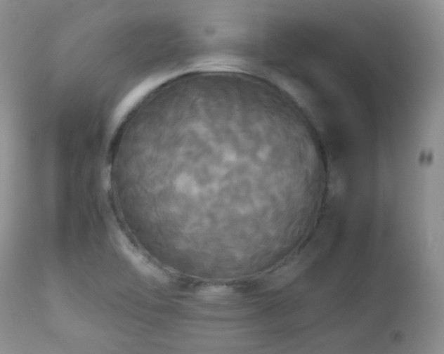 X0000112831462200908211205
