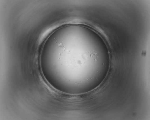 X0000112831464200908211205