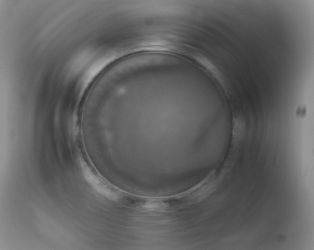 X0000112831466200908211205