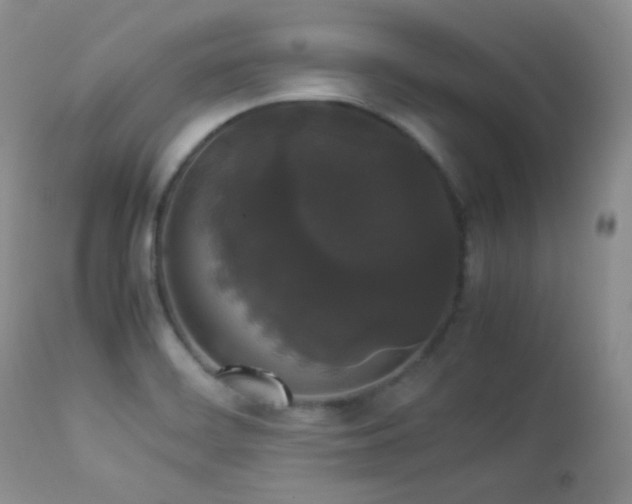 X0000112831468200908211205