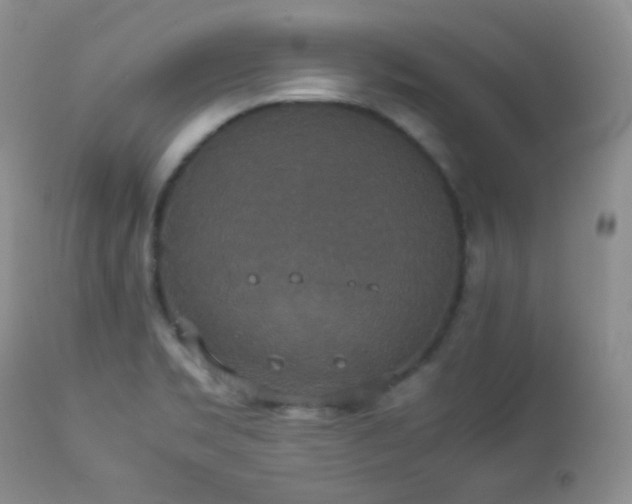 X0000112831469200908211205