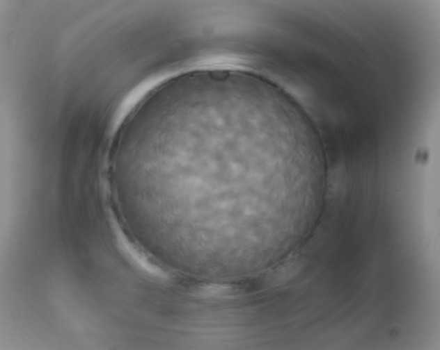 X0000112831470200908211205
