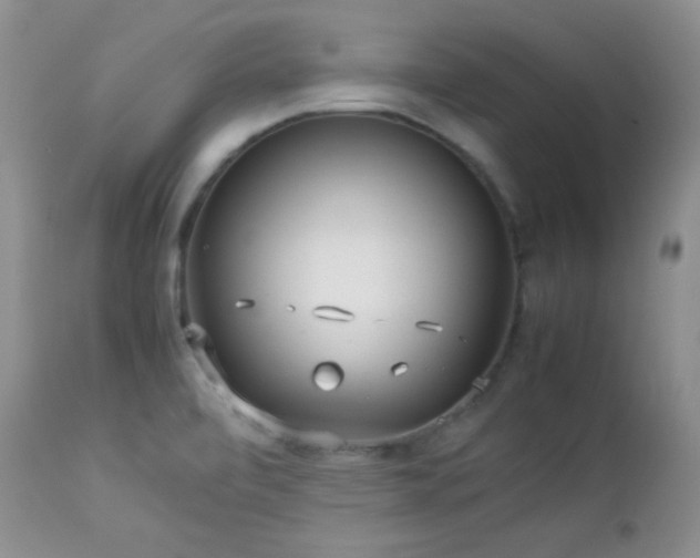 X0000112831472200908211205