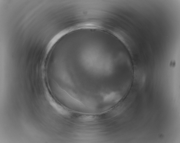 X0000112831474200908211205