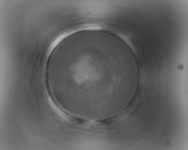 X0000112831475200908211205
