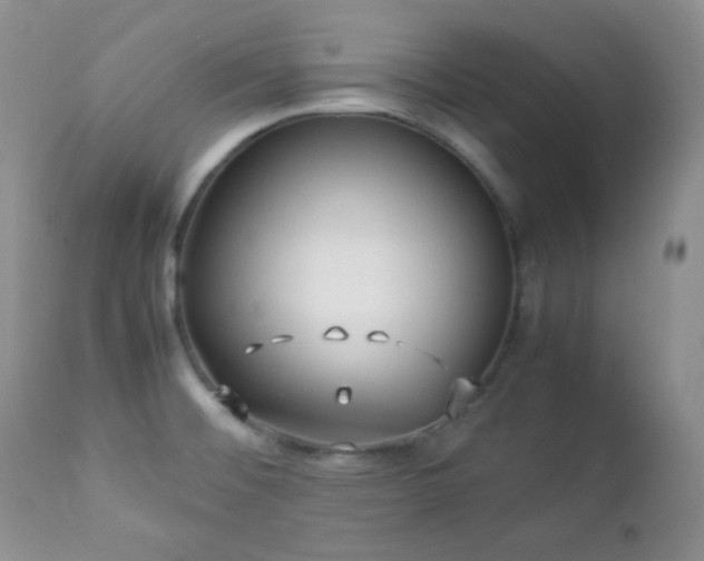 X0000112831476200908211205