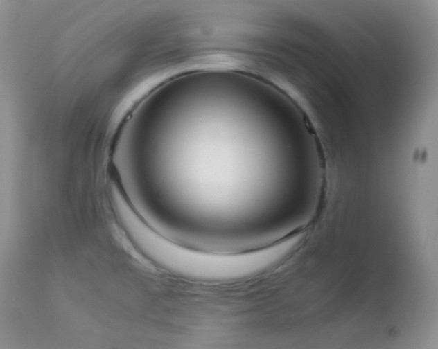 X0000112831477200908211205