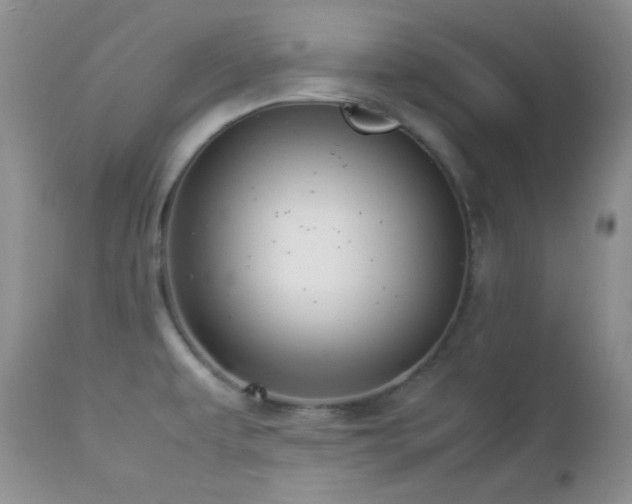 X0000112831479200908211205