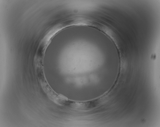 X0000112831481200908211205