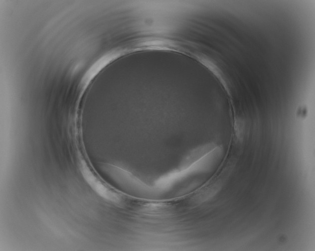 X0000112831482200908211205