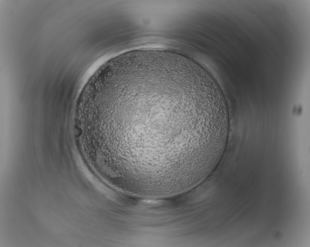 X0000112831483200908211205