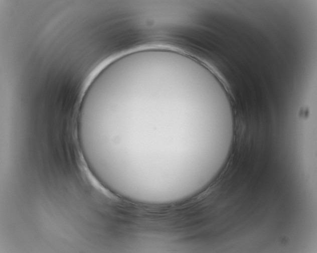 X0000112831484200908211205