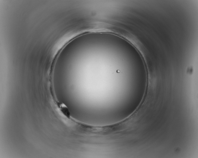 X0000112831485200908211205