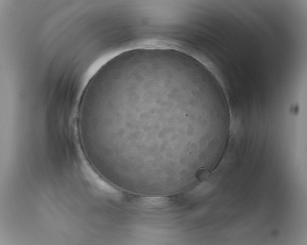 X0000112831486200908211205