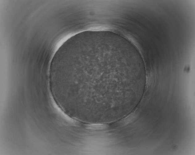X0000112831487200908211205