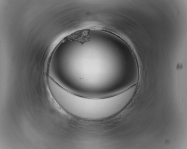 X0000112831488200908211205