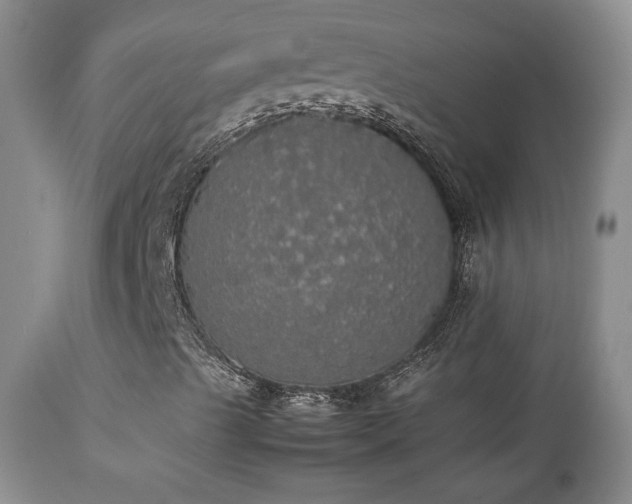 X0000112831489200908211204