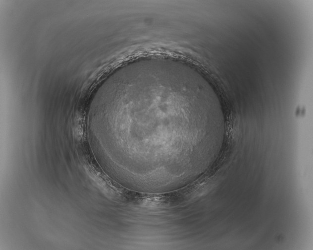 X0000112831490200908211204