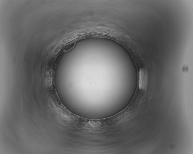 X0000112831491200908211204