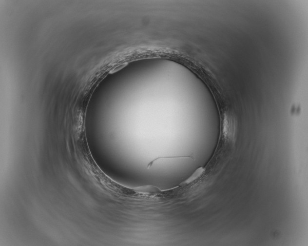 X0000112831492200908211204