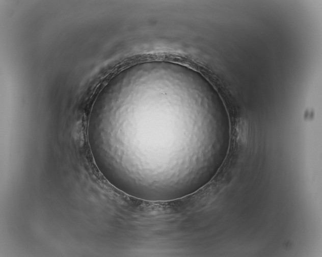 X0000112831493200908211204