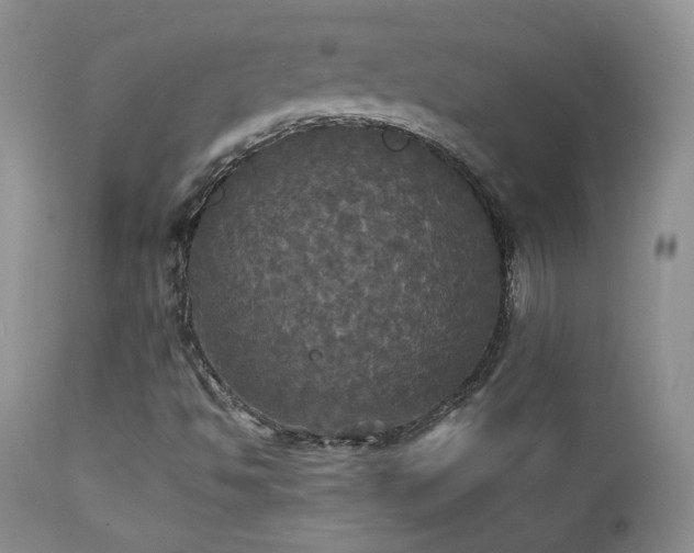 X0000112831494200908211204