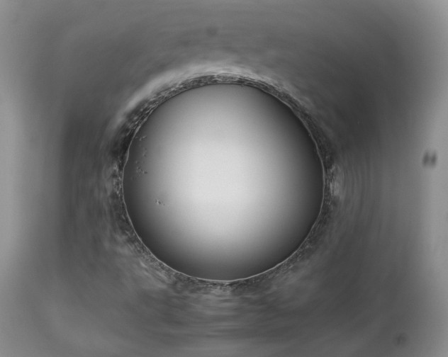 X0000112831495200908211204