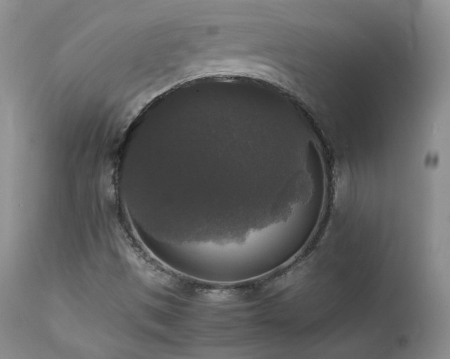 X0000112831497200908211204