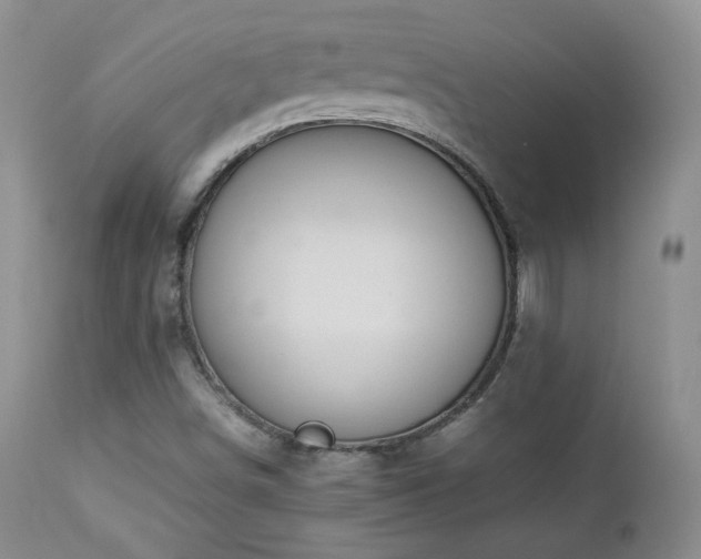 X0000112831498200908211204