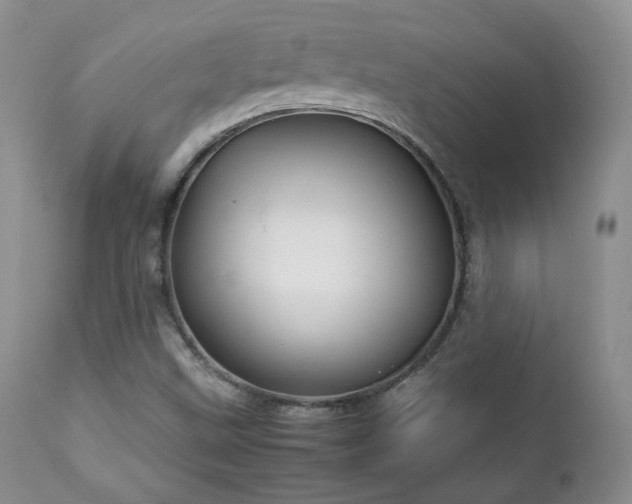 X0000112831499200908211204