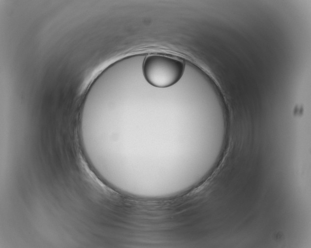 X0000112831500200908211204