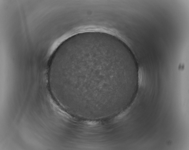 X0000112831501200908211204