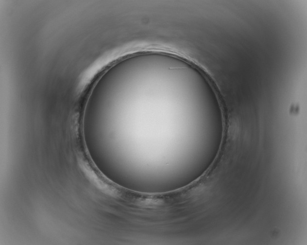 X0000112831503200908211204