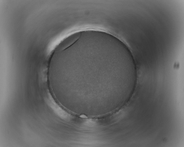 X0000112831504200908211204