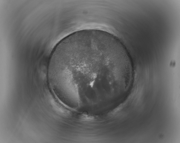 X0000112831505200908211204
