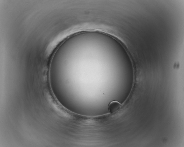 X0000112831507200908211204