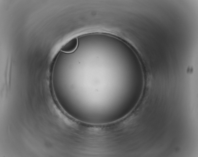 X0000112831508200908211204