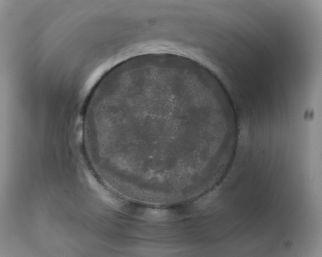 X0000112831509200908211204