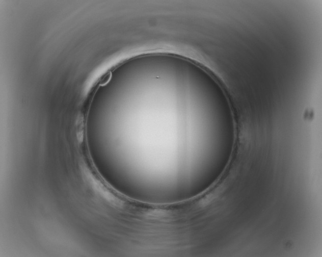 X0000112831510200908211204