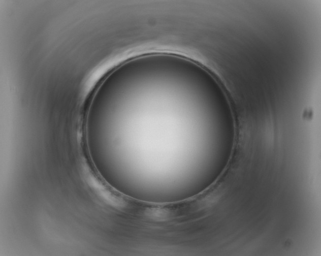 X0000112831511200908211204