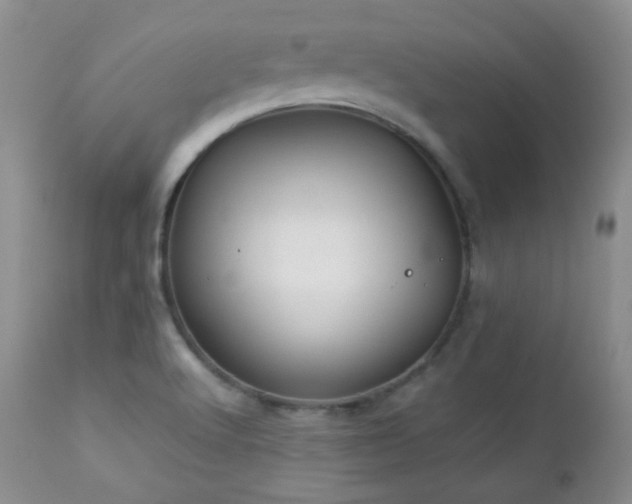 X0000112831512200908211204