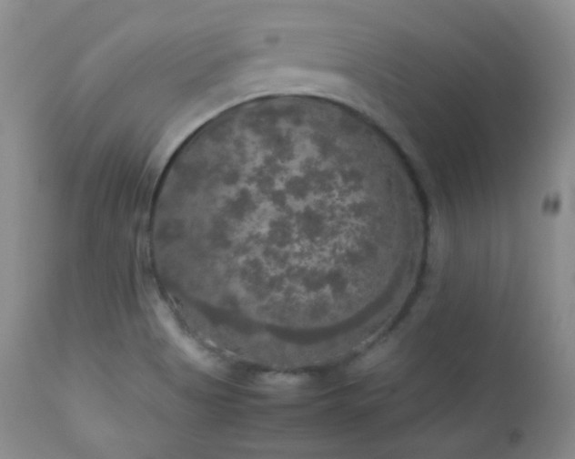 X0000112831513200908211204