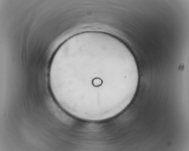 X0000112831514200908211204