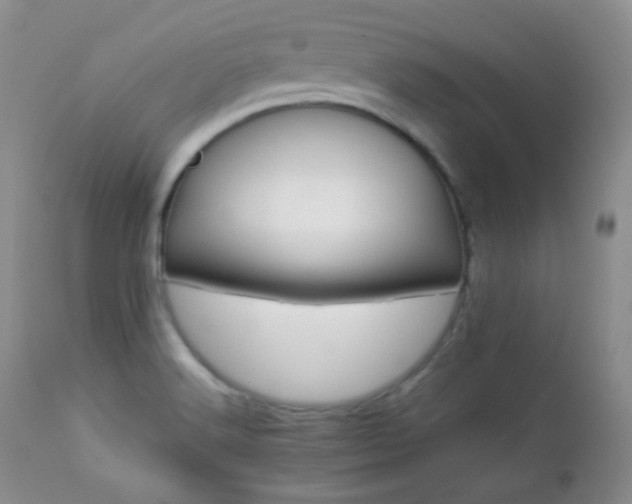 X0000112831516200908211204