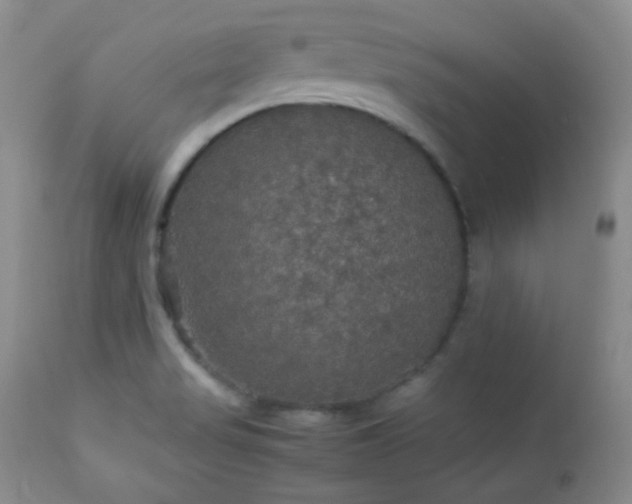 X0000112831517200908211204