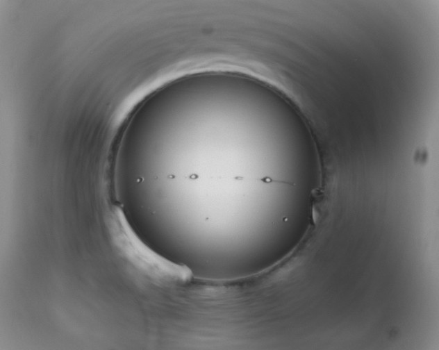 X0000112831518200908211204