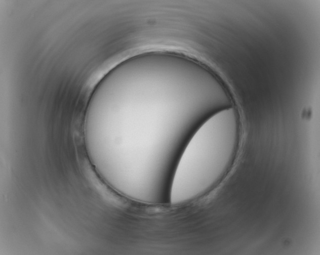 X0000112831521200908211204