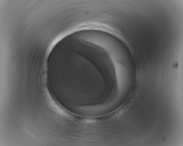 X0000112831522200908211204
