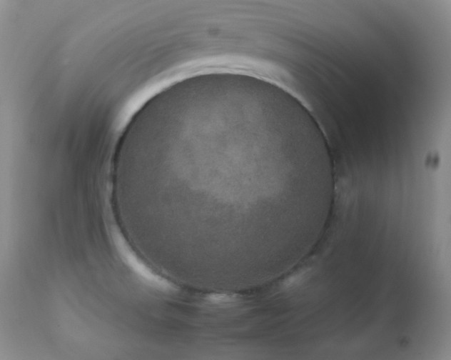 X0000112831523200908211205