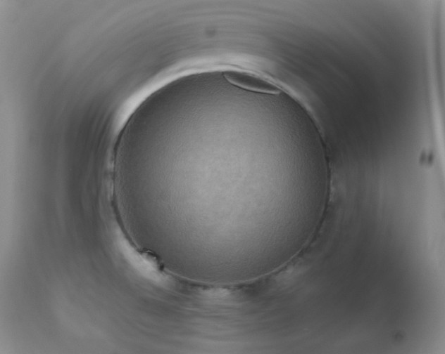 X0000112831524200908211205